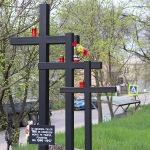 672827056_1275197184763164_6640393198044288203_n