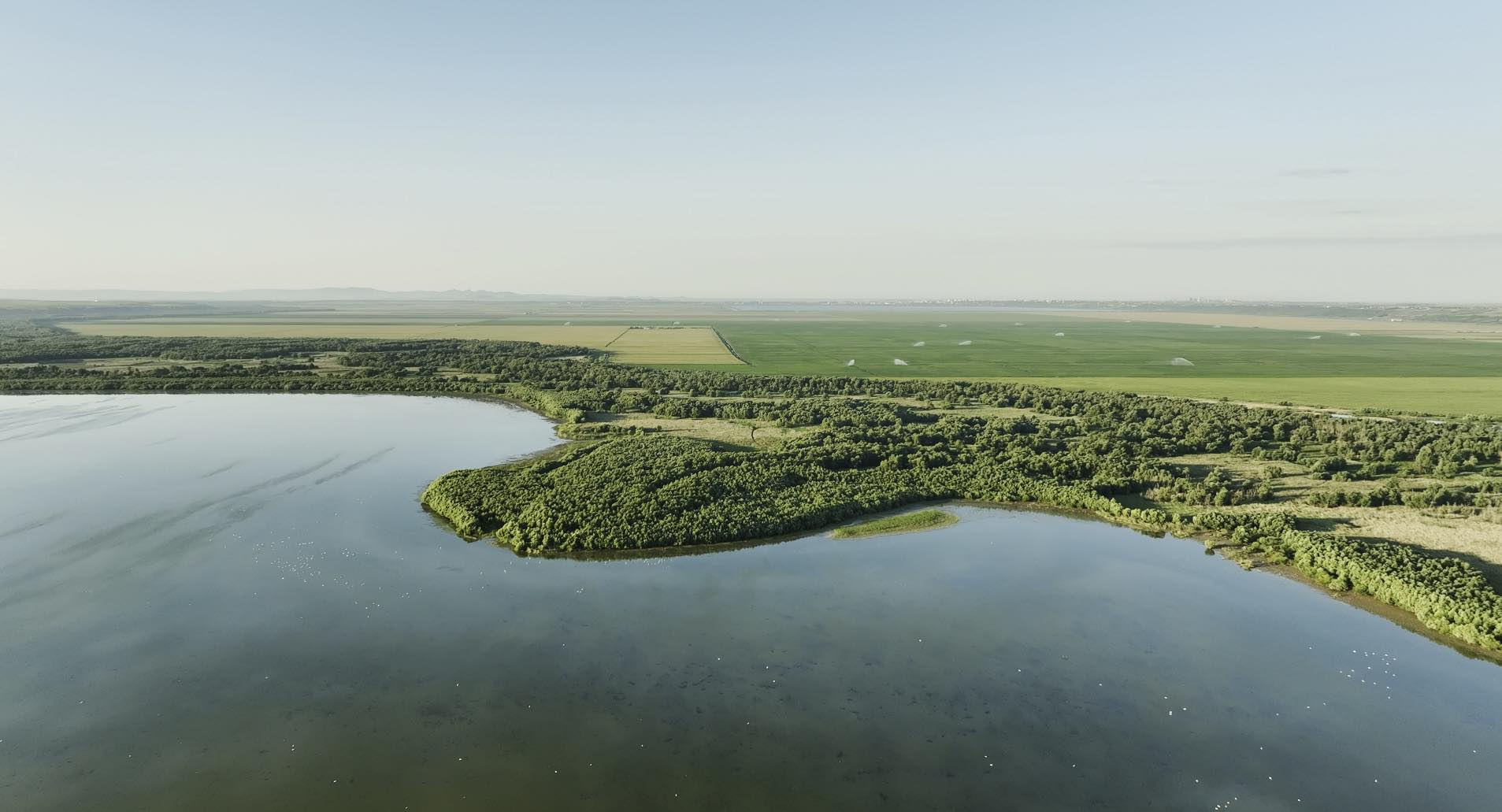 677279937_1544193613742089_7836532475565906376_n