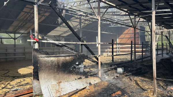 677892095_1362277119271669_5392480919744293320_n