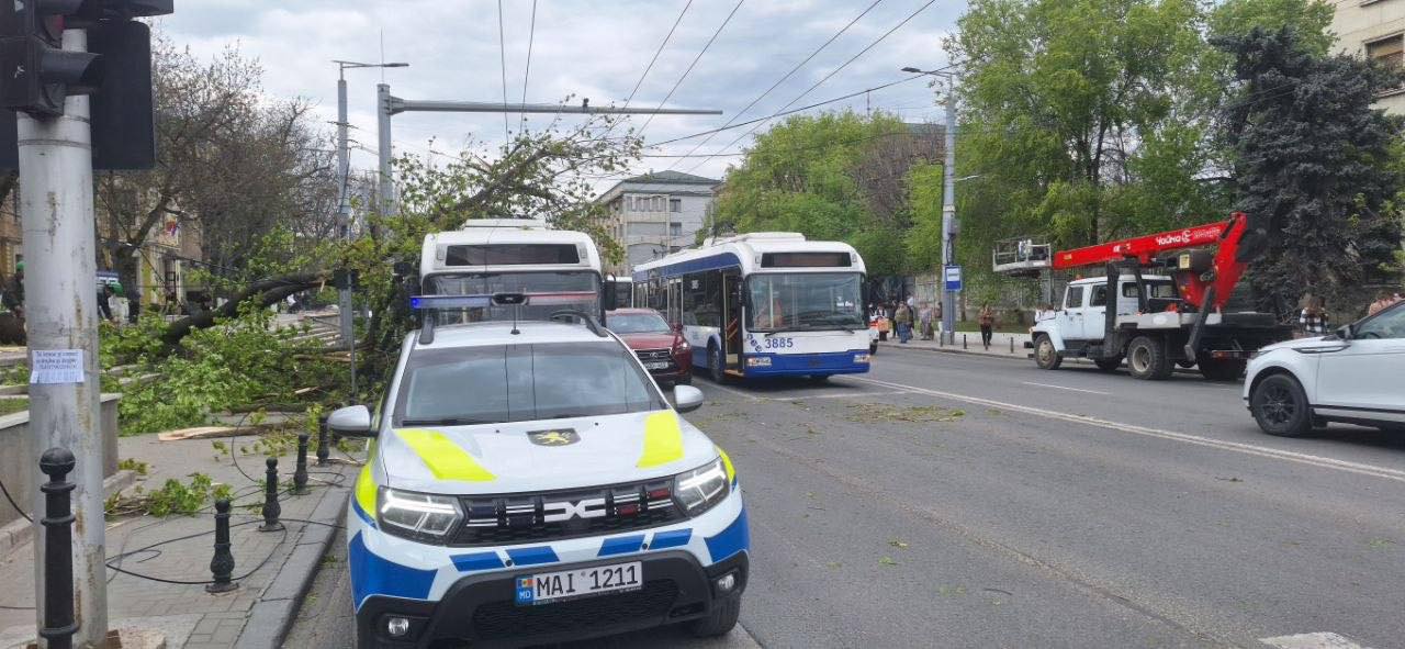 679018236_1389586493206393_7108793119825087618_n