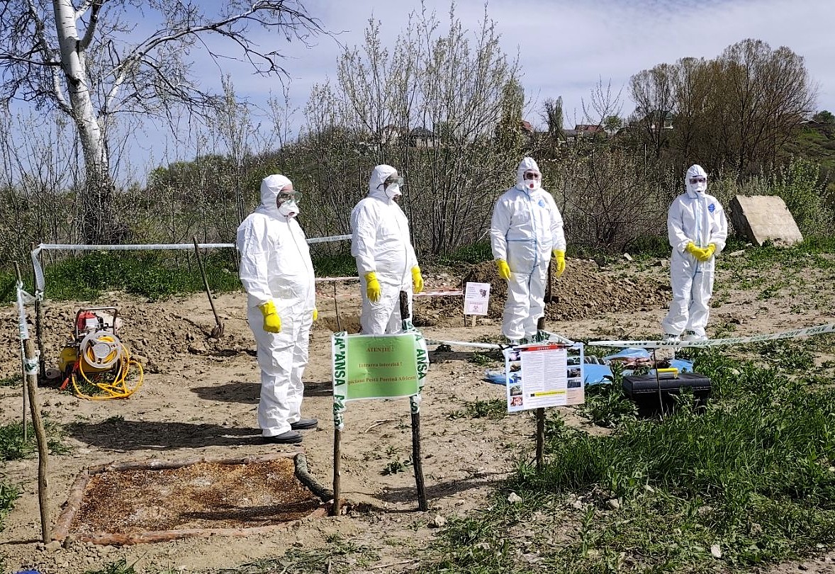 679530485_1364679689031412_1688586485293983085_n