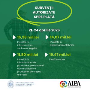 679547314_1419064073583655_7486015429641007007_n