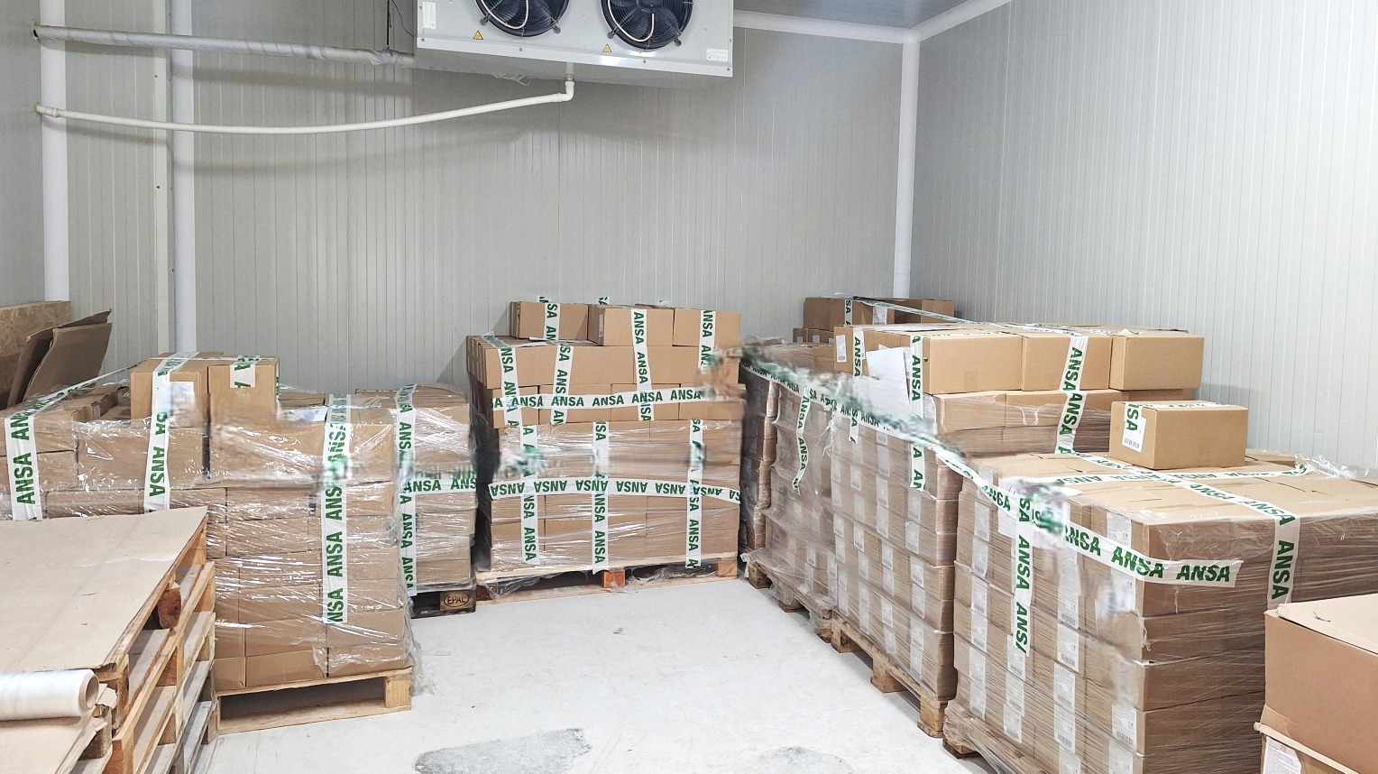 679700787_1258022753173092_20951027519137025_n