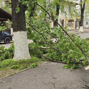 680686162_1377480347743787_4114243554063094493_n