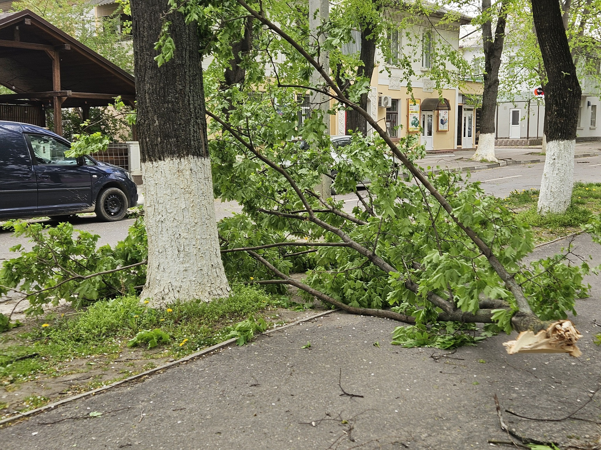 680686162_1377480347743787_4114243554063094493_n