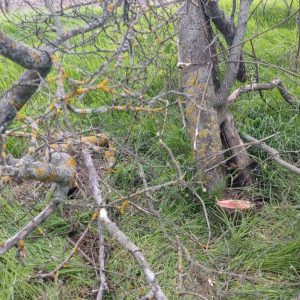 681530805_1264803222491015_2661975876552640368_n