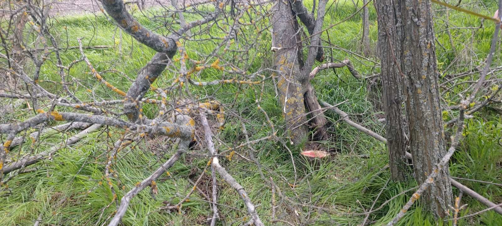 681530805_1264803222491015_2661975876552640368_n