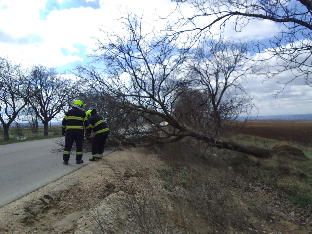 681926566_1366319995534048_848458167942375506_n