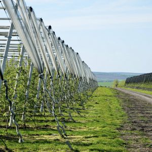 682915493_1420203063469756_1949442768499885652_n