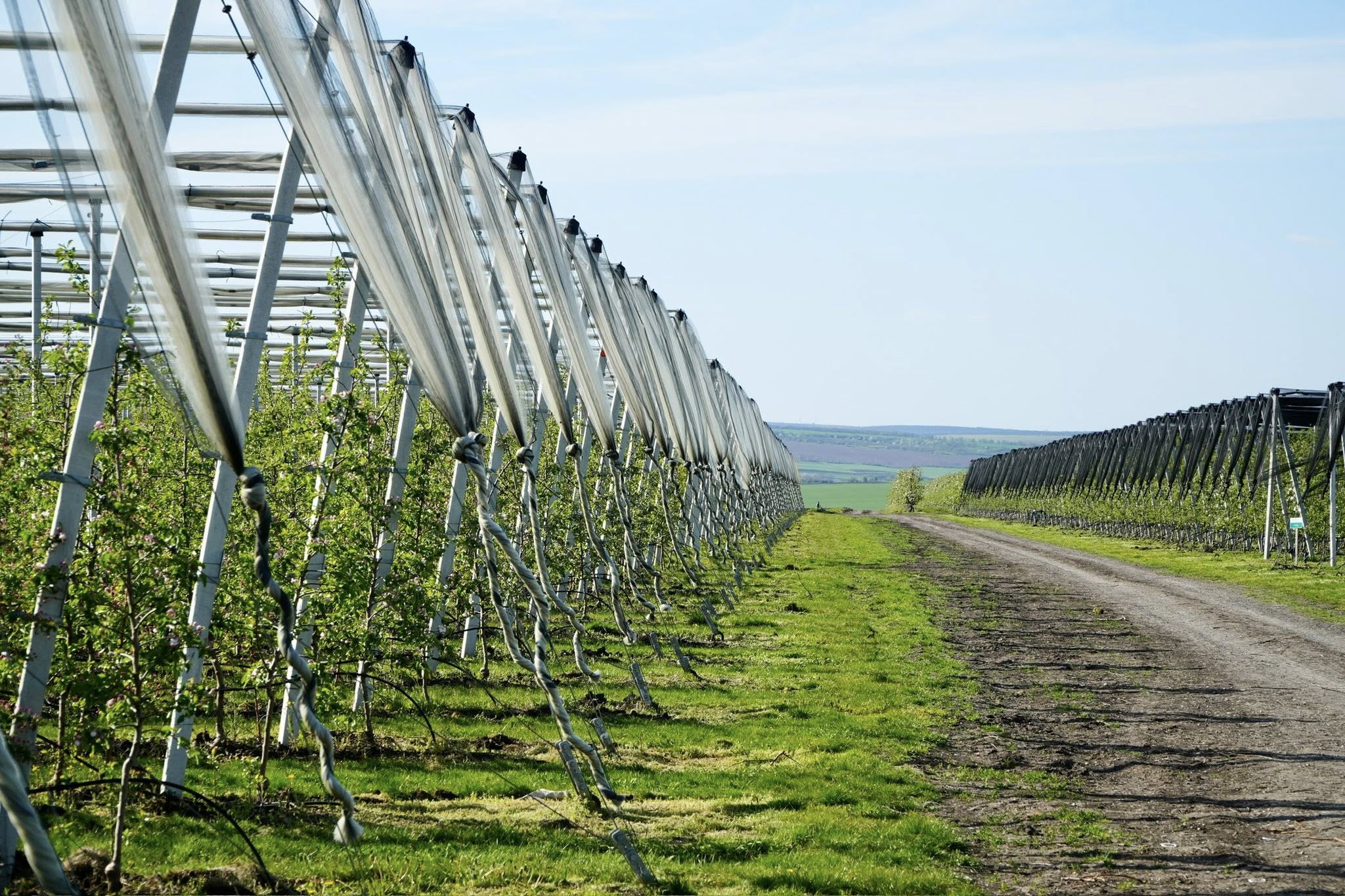 682915493_1420203063469756_1949442768499885652_n