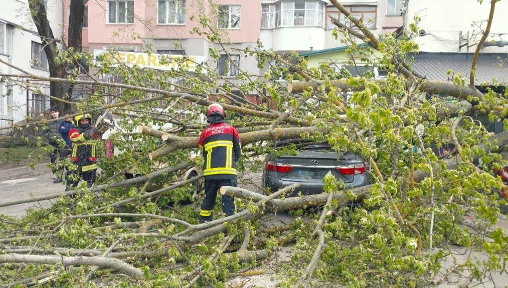 683747853_1367015705464477_7803867289568507701_n