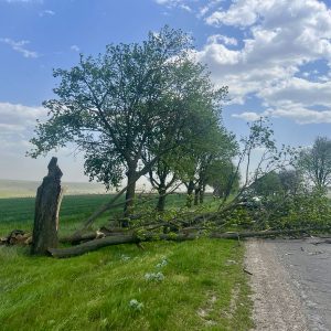 684162397_1290374356614896_3783259437291398014_n