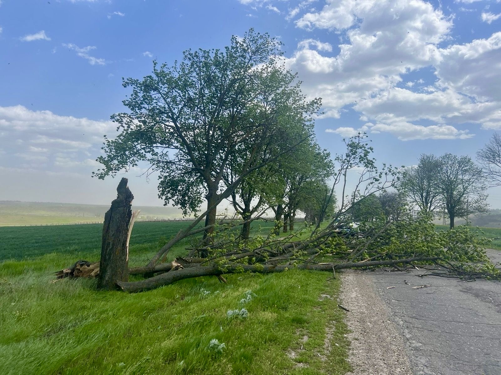 684162397_1290374356614896_3783259437291398014_n