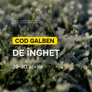 684514247_1351048100415999_480977997020742262_n