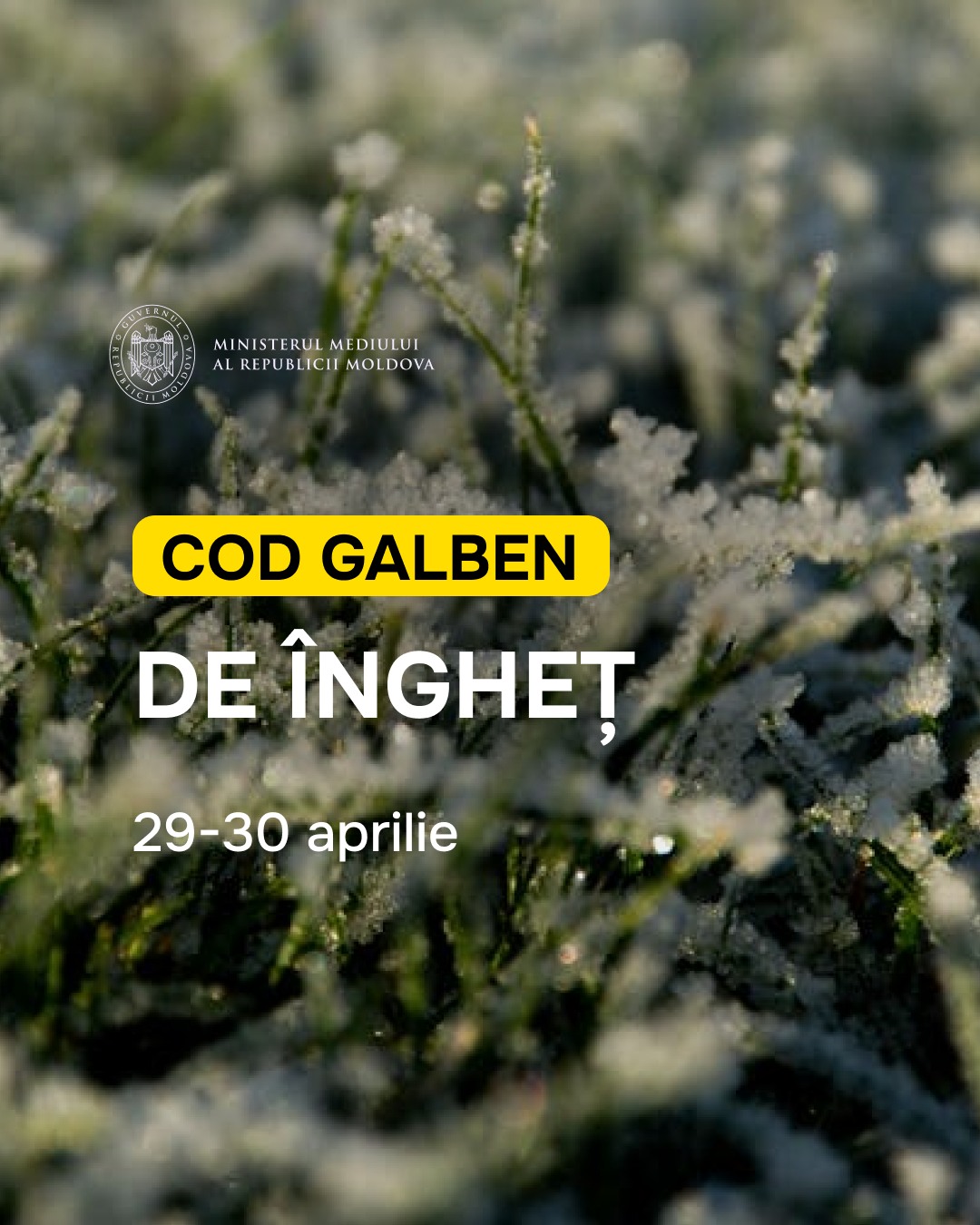 684514247_1351048100415999_480977997020742262_n