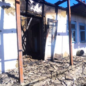 684809039_1367867095379338_7755458621798730397_n