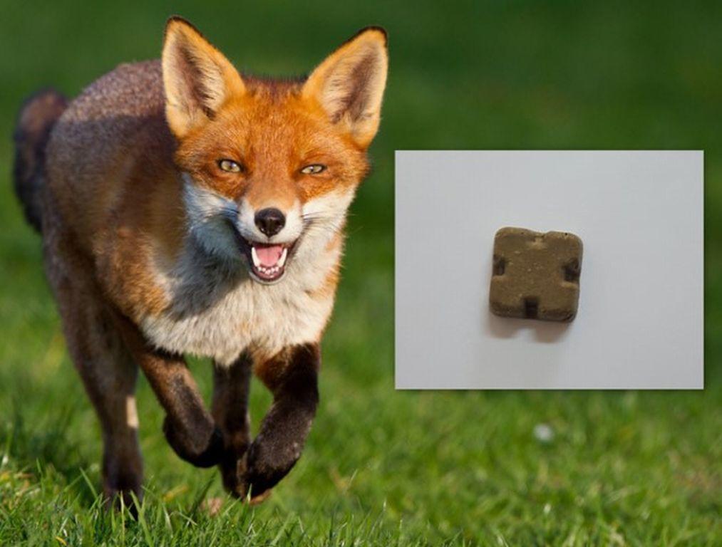 990a848f8f3e33210195d64d3ffc574d_155985864301_68f7603082ae2_0