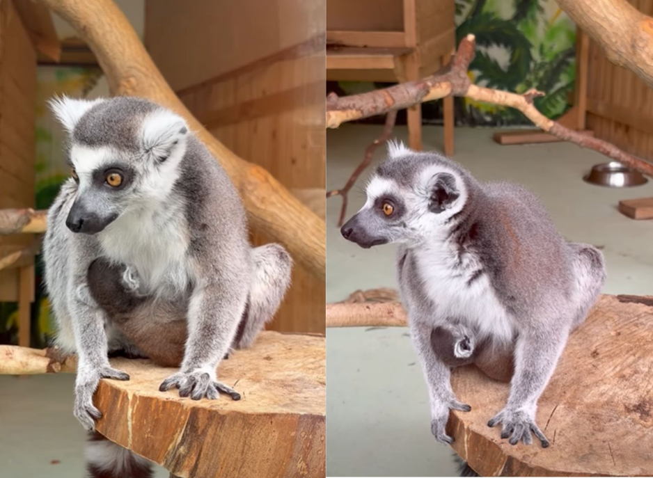 Screenshot 2026-04-01 102054