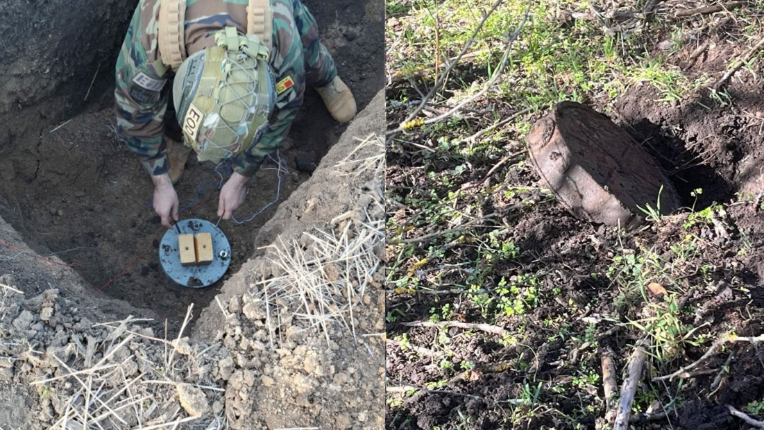 Screenshot 2026-04-02 103316