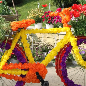 Screenshot 2026-04-22 102732