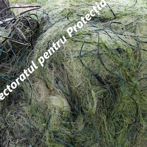 Screenshot 2026-04-27 115736