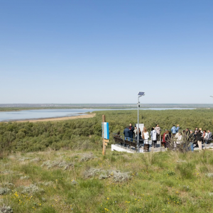 Screenshot 2026-04-30 153739