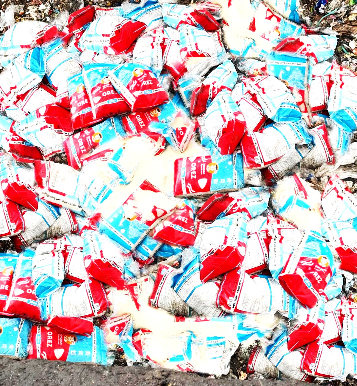 WhatsApp Image 2026-04-15 at 16.53.59