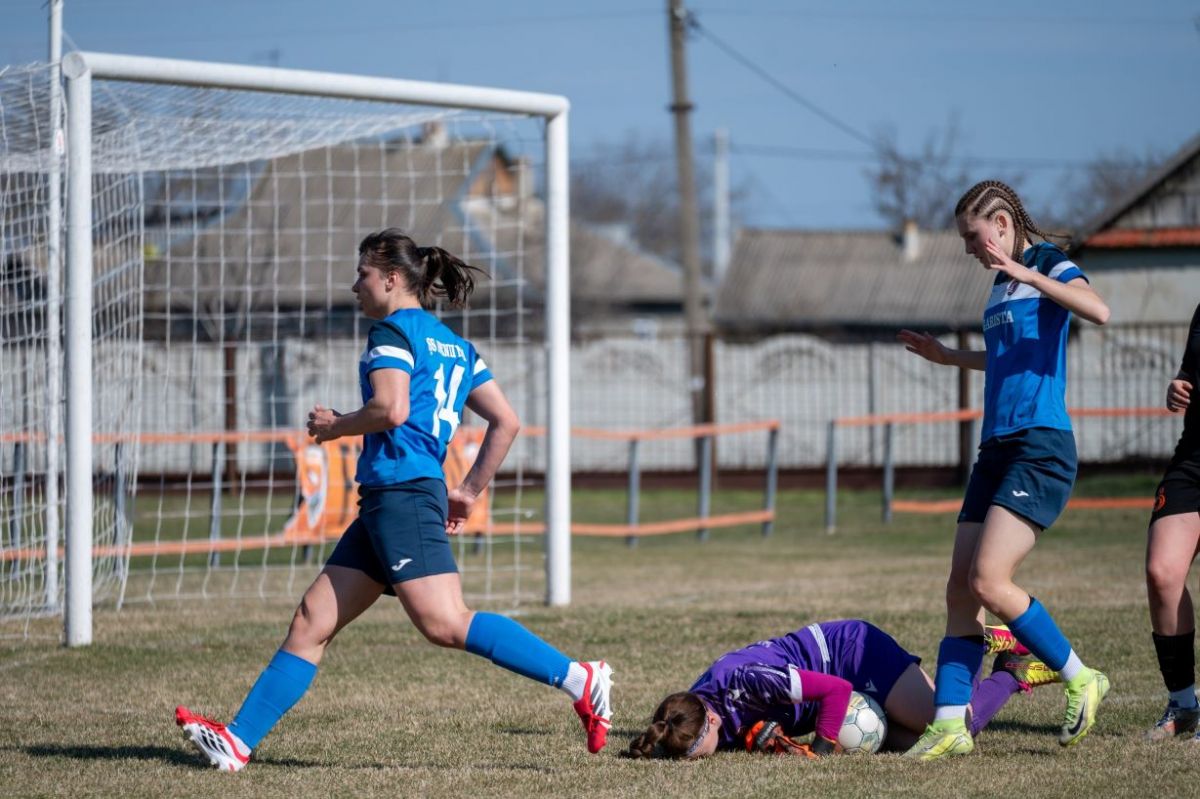 agarista-17132-1777216491