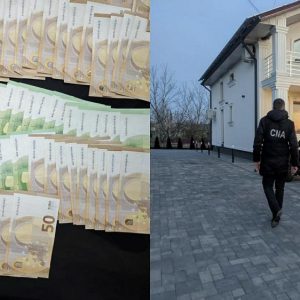 f768e7b7-7f4a-4662-86dd-22e766d08165