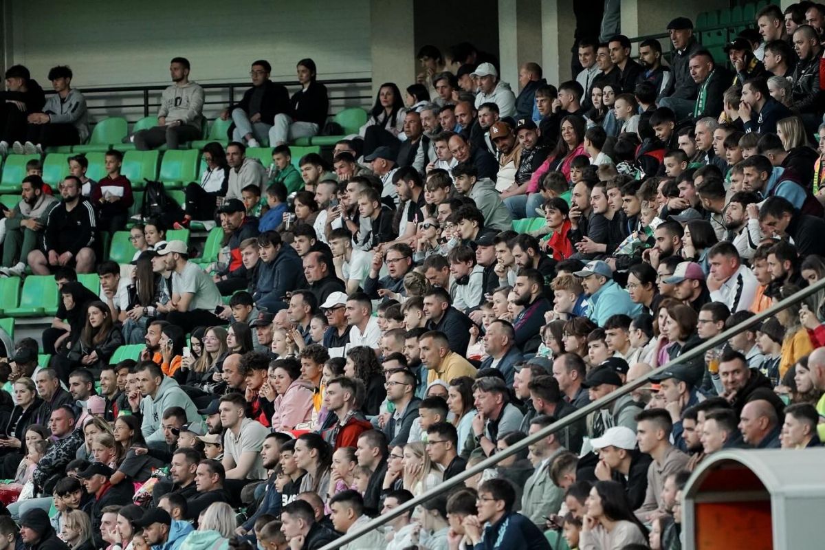 fam-17029-1776348590