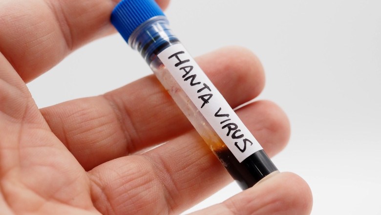 hantavirus