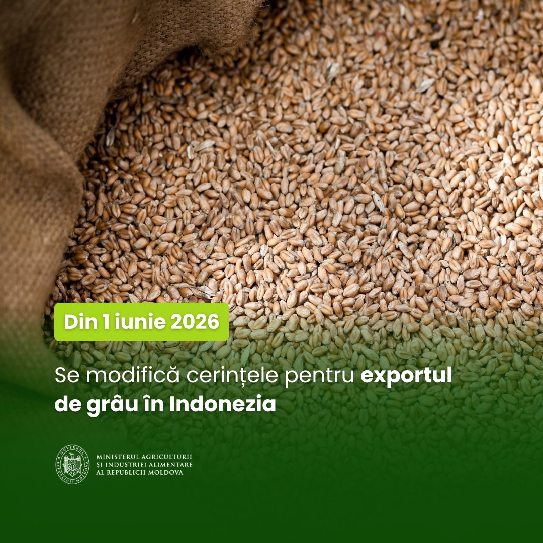 703948402_1440169684806427_3342072621207672538_n