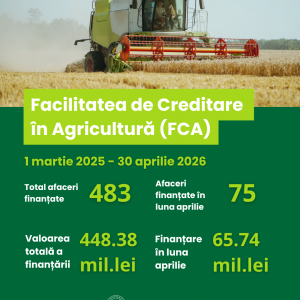 FCA (7)