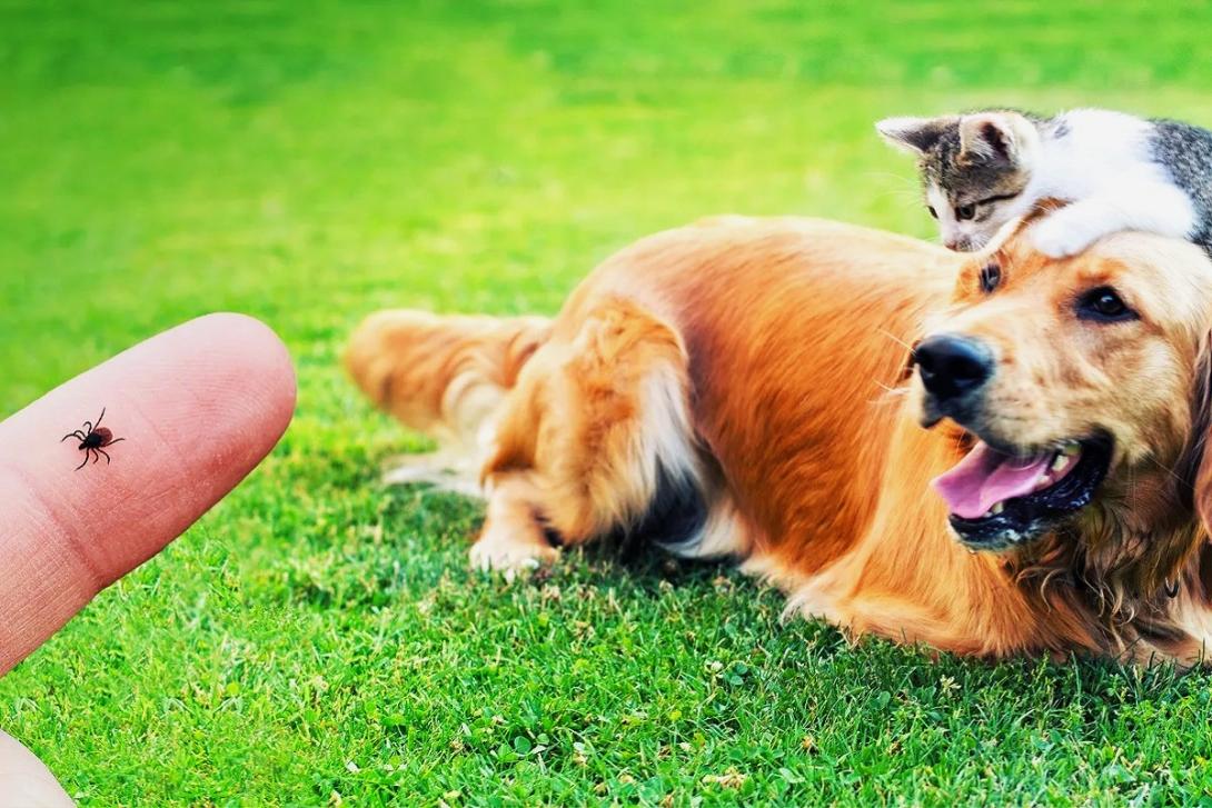 WhatsApp Image 2026-05-06 at 13.32.59