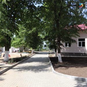 img (10)