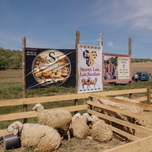 miorita laie laie bucalaie festival ungheni