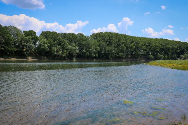 719873857_1389146733272802_333440293589552795_n