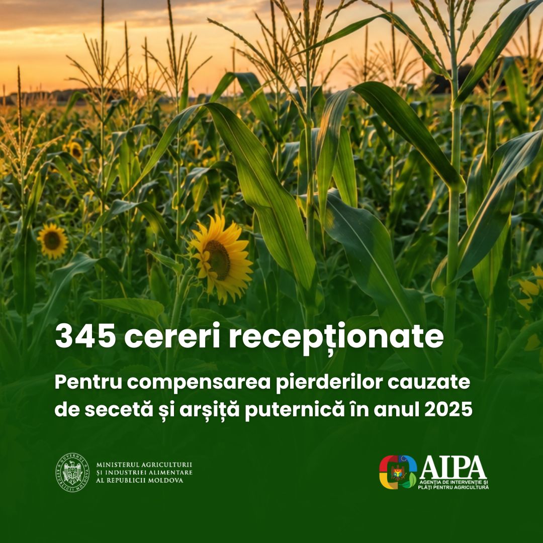 Compensarea pierderilor cauzate de secetă și arșiță puternică