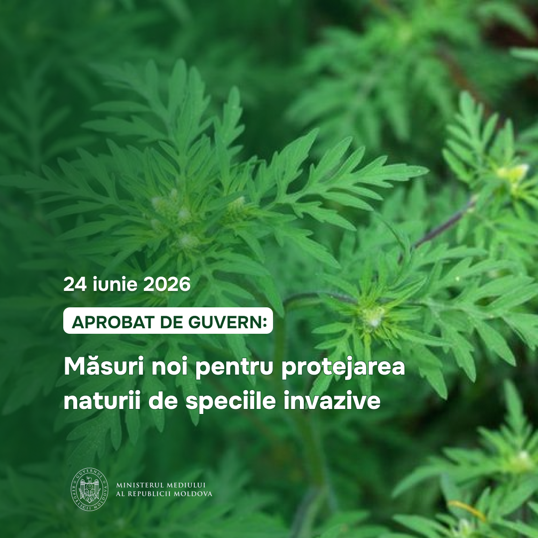 HgSpeciiInvaziveFB