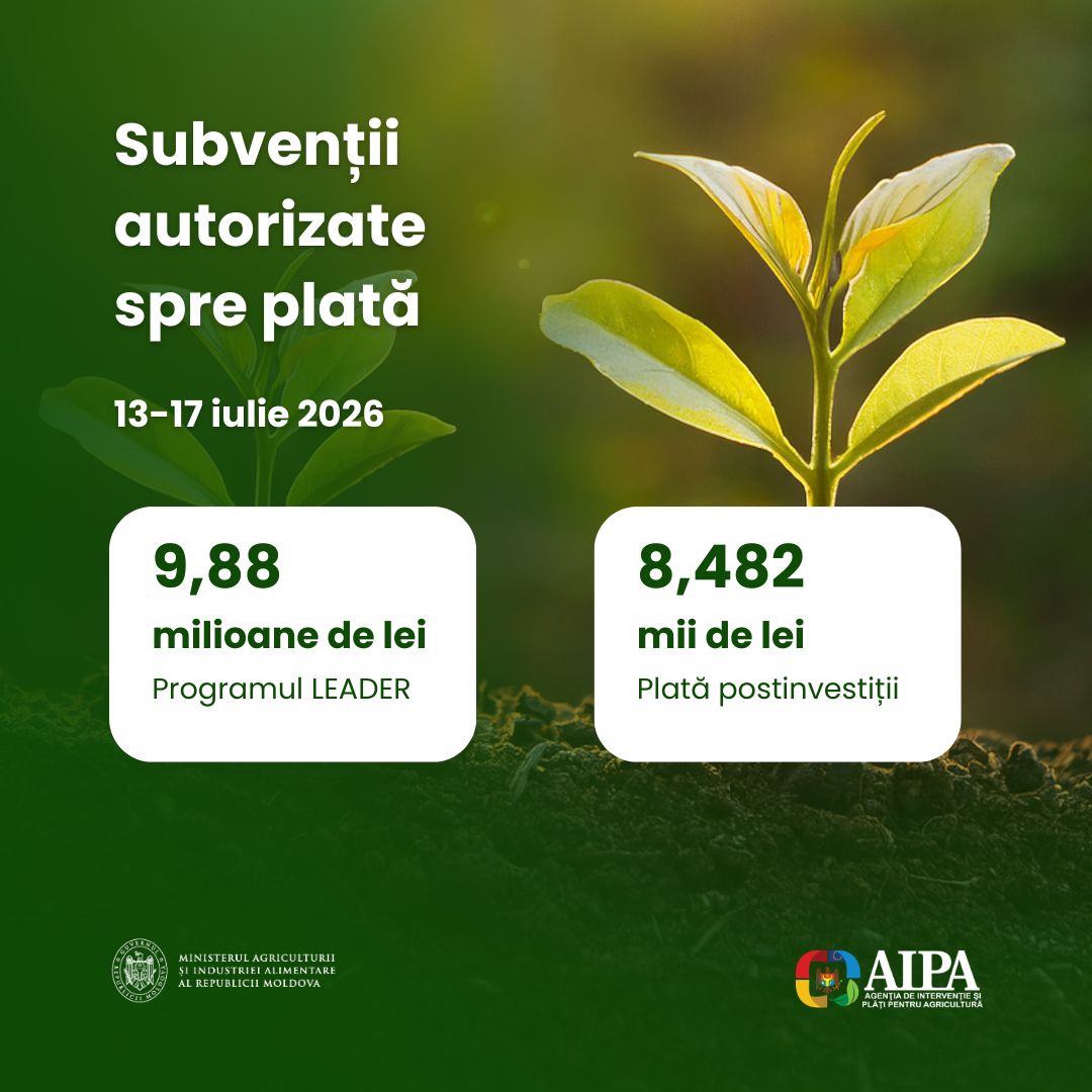 AIPA_0