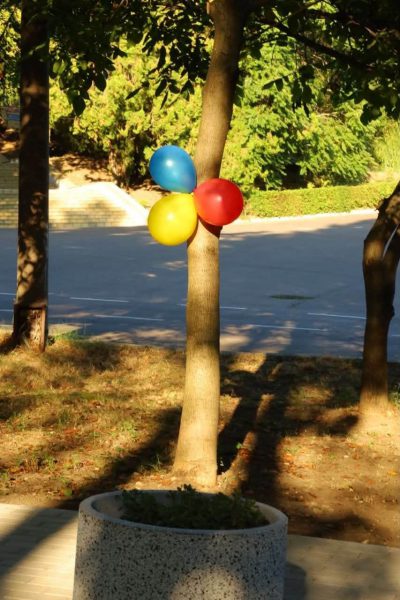 775336096_1425939169596226_3369621239228178011_n