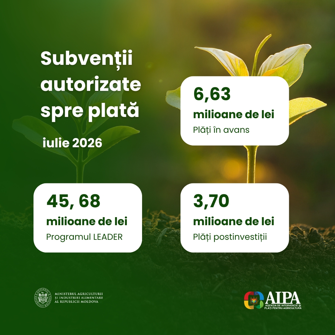 AIPA_2