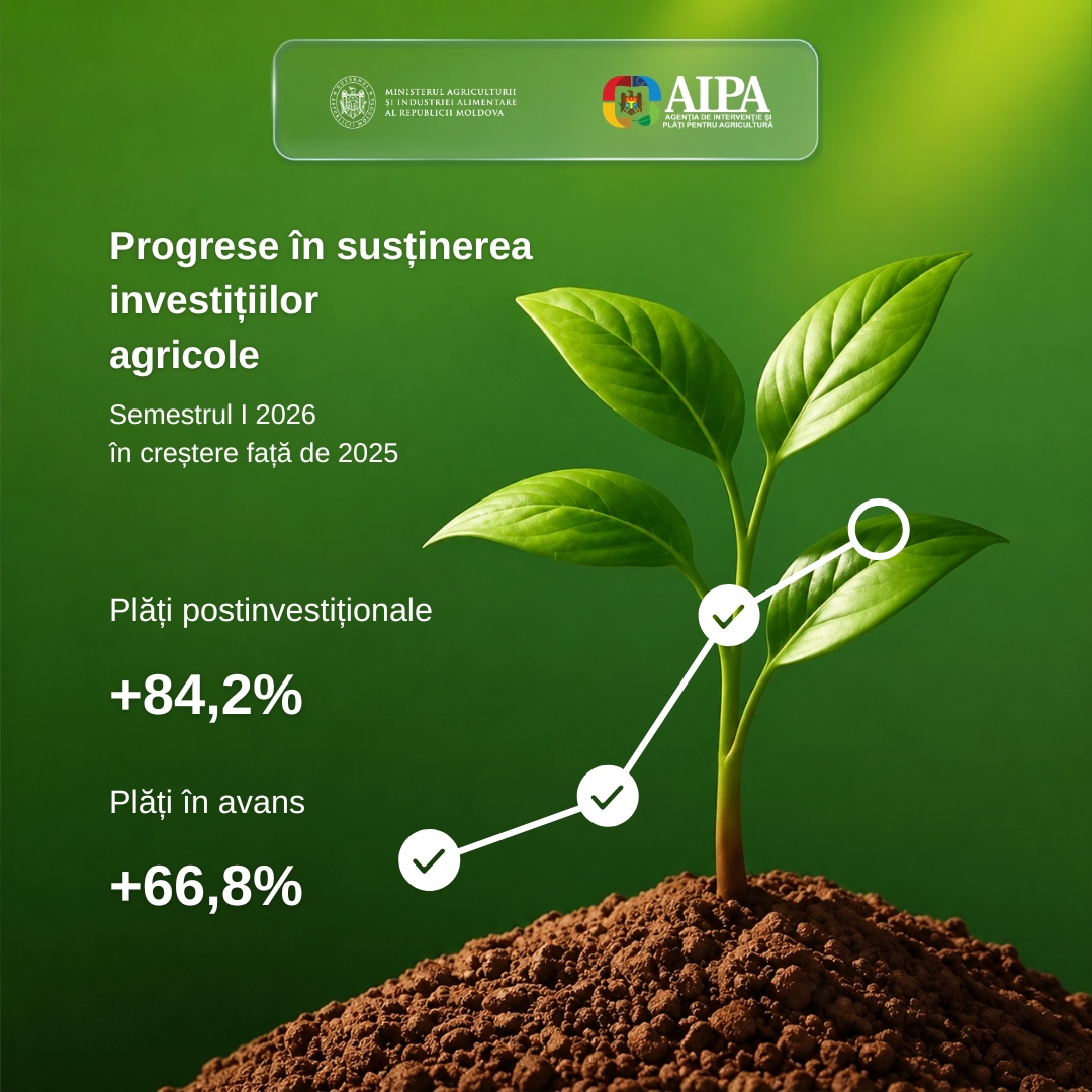 AIPA_4