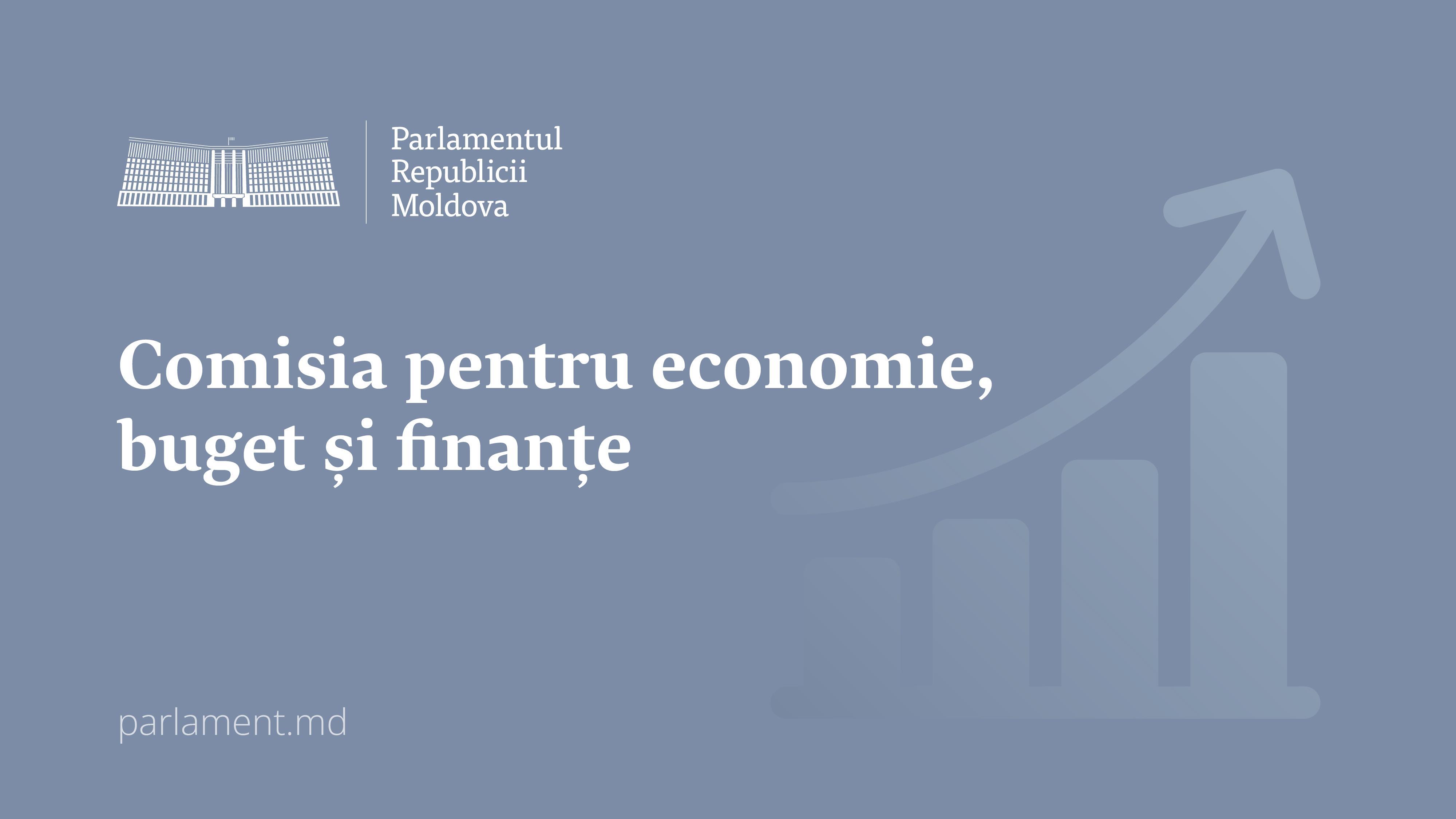 Comisiile_Legis_12_economie