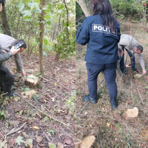 Screenshot 2026-09-25 142441