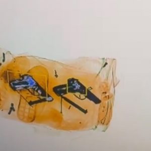 foto2