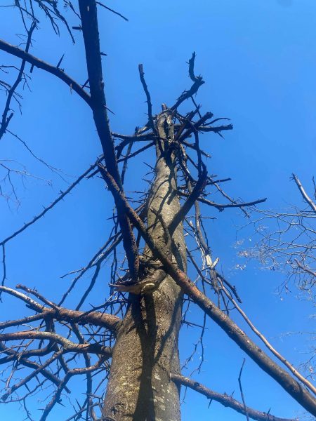 831532664_1082752291154041_4510948001925127517_n