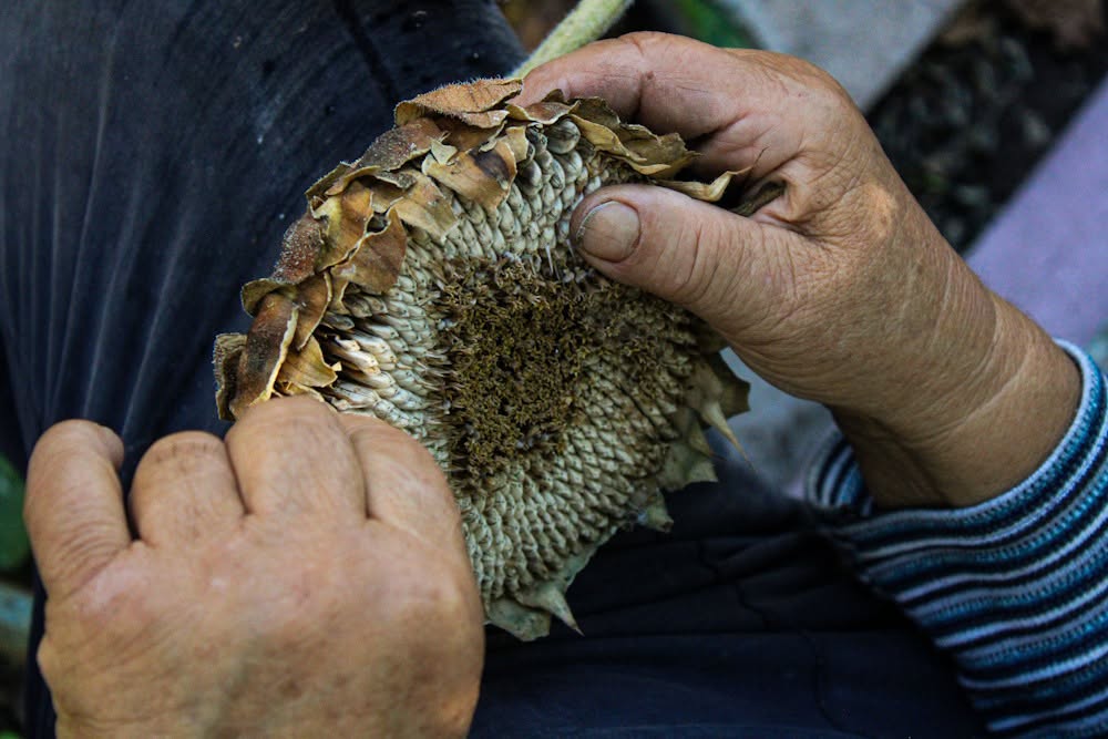 862617512_1784702972745666_2999655911917195453_n