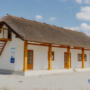 IMG_4423