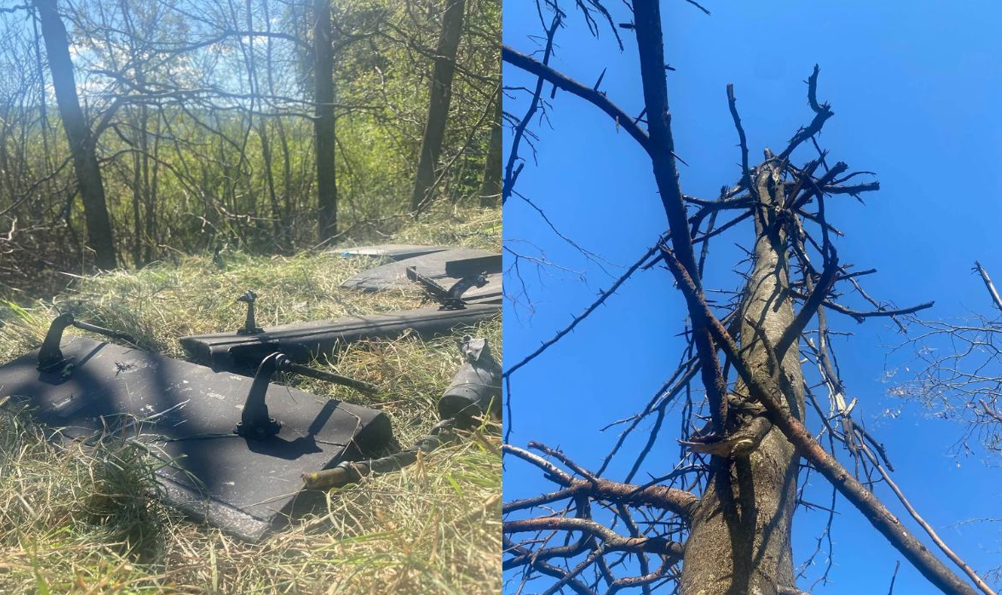 Screenshot 2026-10-02 115738